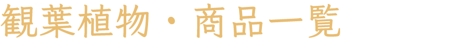 ���տ�ʪ�����ʰ���